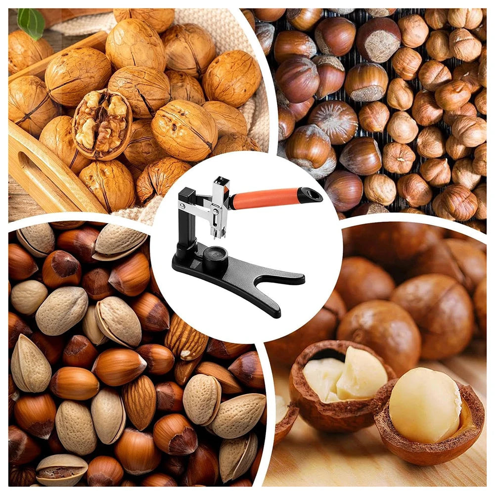 Pelador de Nueces y Castañas, Dispositivo para Pelar y Partir Castañas, Prensa Manual, Frutas Duraderas, Herramienta Esencial de Cocina para la Comodidad Diaria