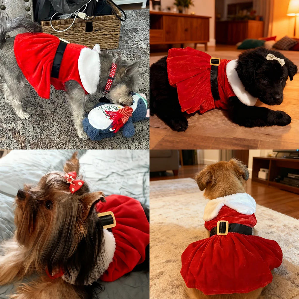 Ropa de Navidad para Mascotas