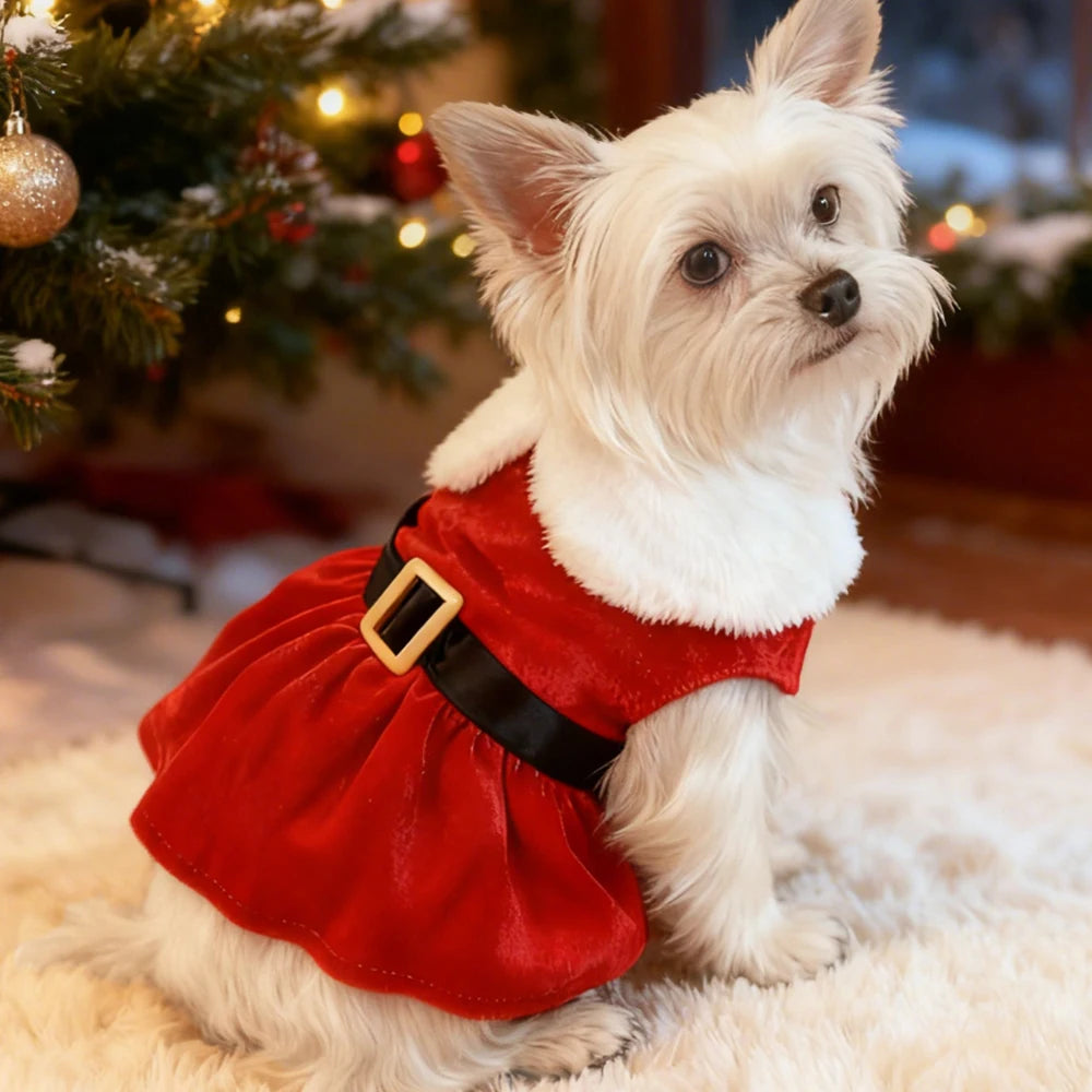 Ropa de Navidad para Mascotas